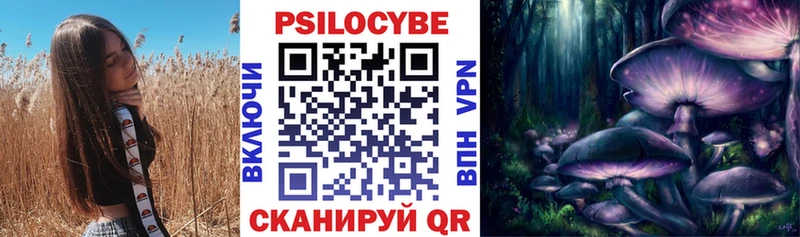 Галлюциногенные грибы Psilocybe  Купить где  Медногорск 